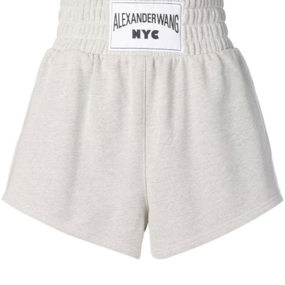 ***ISO Alexander wang Lightweight Shorts size L